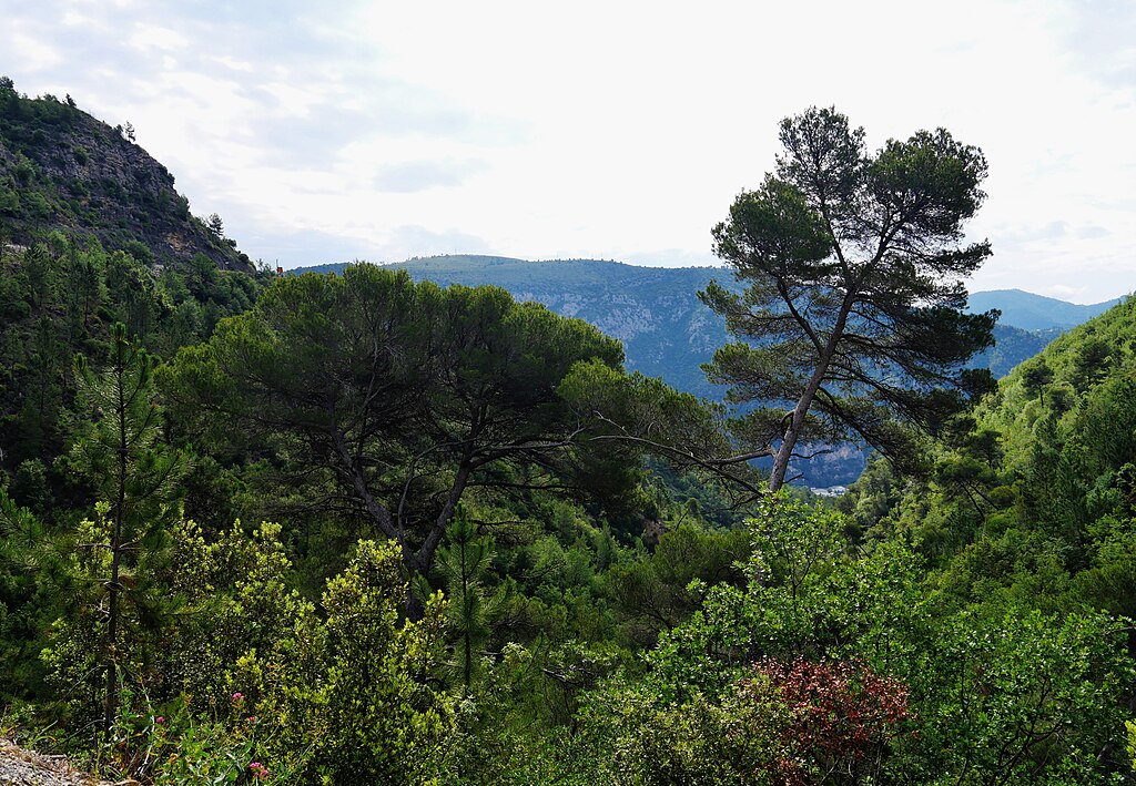 Ascenseur Alpes-Maritimes