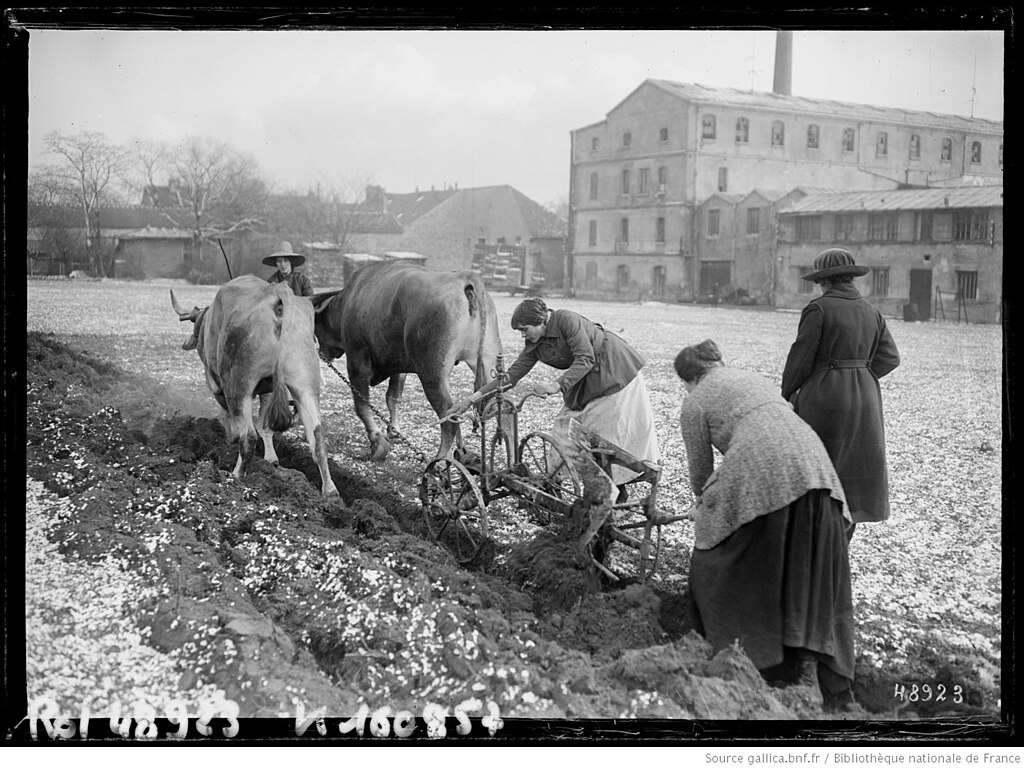 Ascenseur Val-de-Marne