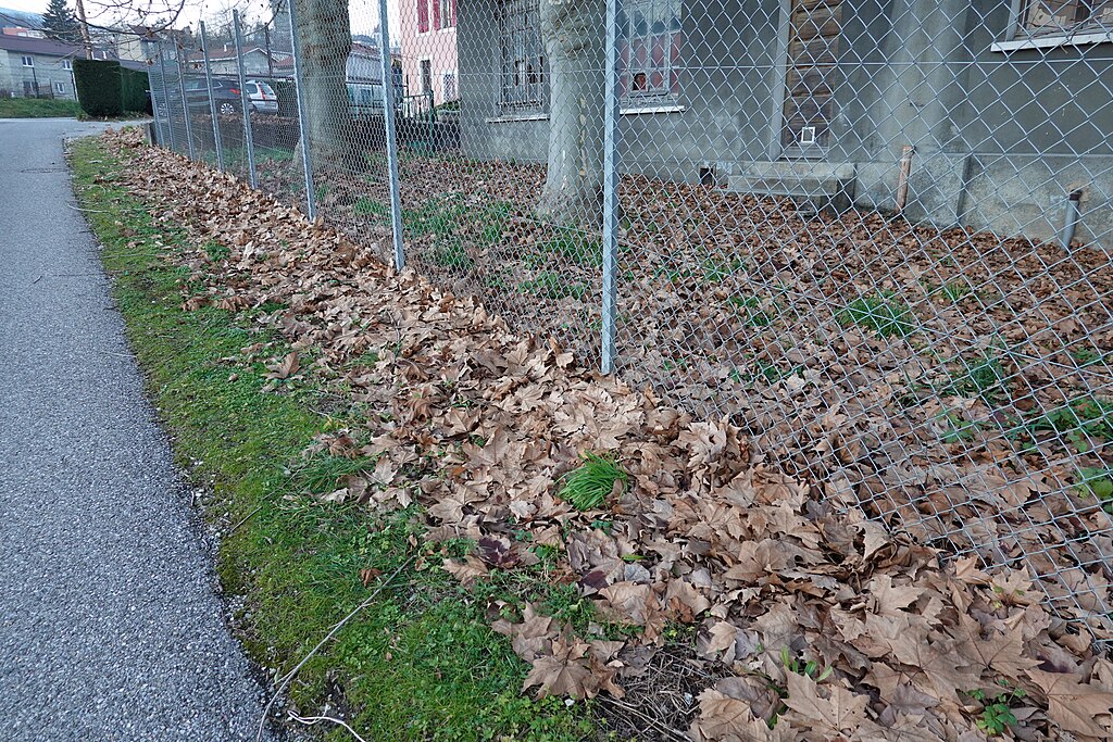 Ascenseur Bellegarde-sur-Valserine