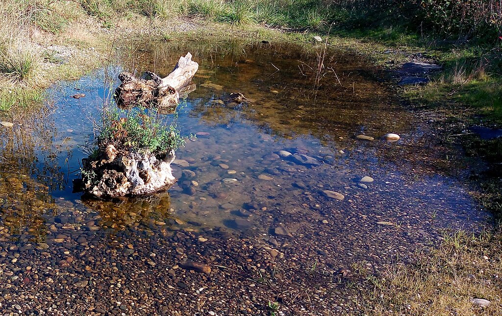 Ascenseur Wittenheim