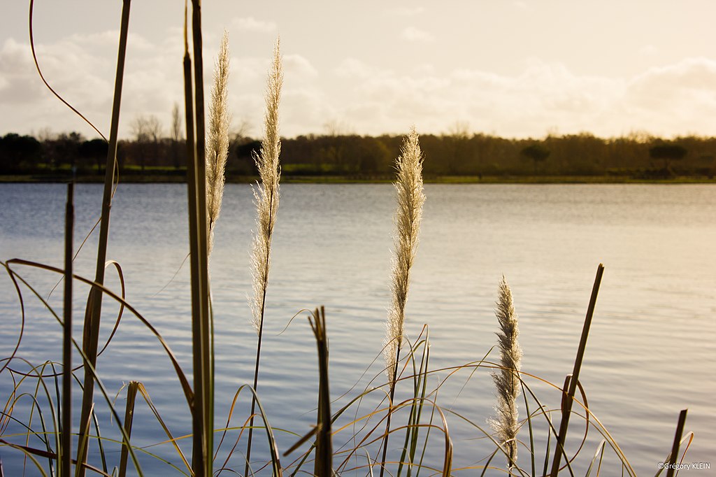 Ascenseur Tournefeuille